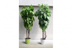 056 veštačko drveće